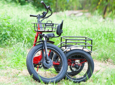 New Modern Trends E-Trikes Bison Pro Trike (New Model) Stronger Motor, & Longer lasting battery than the Caddy.